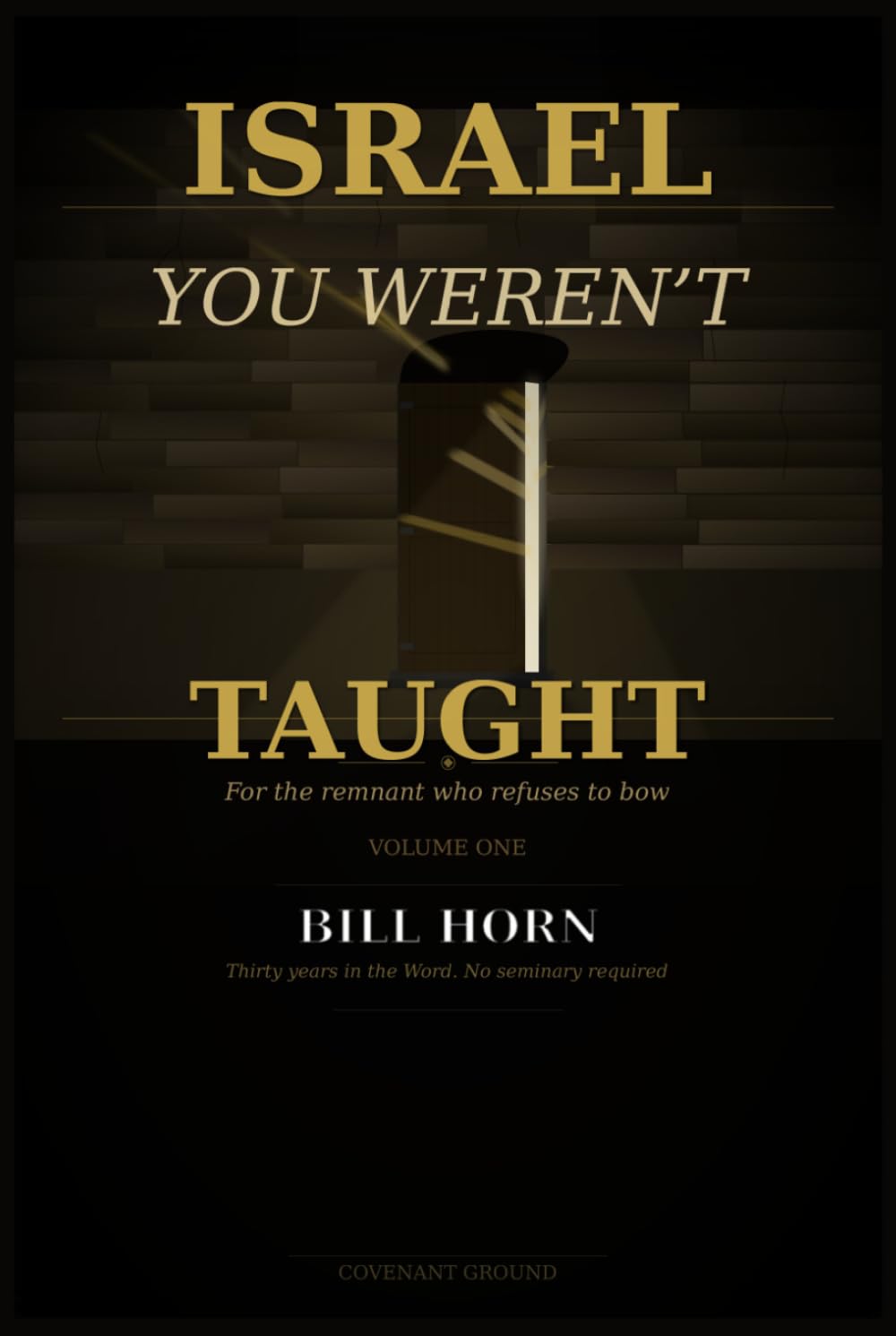 Israel You Weren't Taught: Volume One