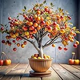 Crabapple Bonsai Tree Seedling for Planting - Grow a Fruit Tree Bonsai - 1 Year Old Seedling, No Pot Included, Ships Bare Root
