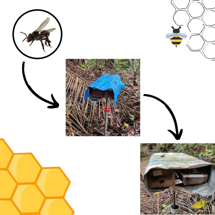 Image of Indic Organics Small Stingless Bee Raw Honey from Western Ghats | Wild-Flower, Unprocessed, Unheated & Unpasteurized | Produced by Small Stingless Bees | Cheruthen Honey (Small Stingless Bee Honey, 320 Gm)