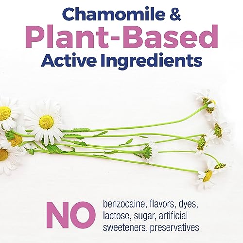 boiron camilia teething drops for daytime and nighttime relief of painful or swollen gums and irritability in babies - 15 count