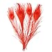 Hgshow 20 Pcs Bleached & Dyeing peacock feathers 10-12 inches Red