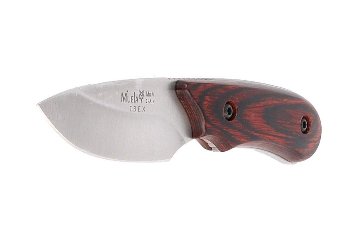 Muela Cuchillo Ibex IBEX-8.OL hoja de acero ACX-380 de 8 cm y empuñadura de madera coral para Caza, Pesca, Supervivencia y Bushcraft Realizado en Ciudad Real + Portabotellas de regalo