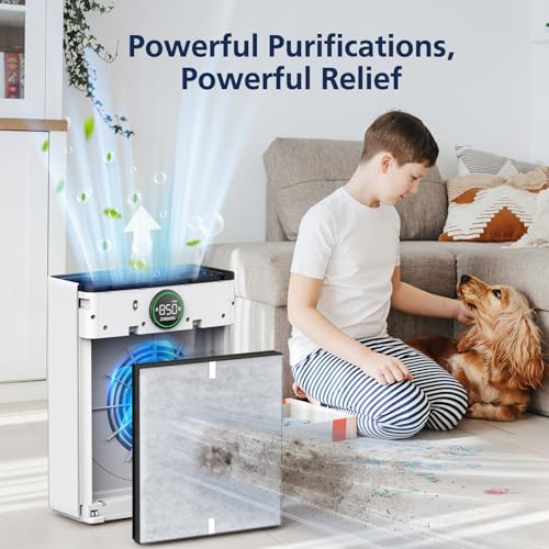 Image of PR1 Replacement Filter for Mooka PR1 Air Purifier for Home Large Room up to 2200sq.ft, HEPA Activated Carbon, with 4Pcs Washable Filter for Pets, PM 2.5, Pollen, 2 Packs