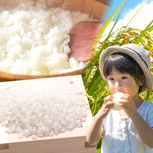 [3ヶ月定期便]ひごみのり 白米 熊本県産 ブレンド米 5kg 熊本県産 ふるさと納税 精米 米 こめ ふるさとのうぜい コメ お米 おこめ[お申込み翌月から出荷]