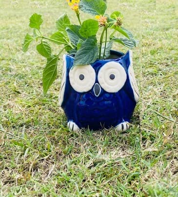 Lyallpur Stores Ceramic Pots for Plants Owl Shape - Small Size (Blue Color, 9 cm) Ceramic Planters for Indoor Plants, Living Room. [Plant Not Included] (B09MM8VRNJ) Amazon Price History, Amazon Price Tracker