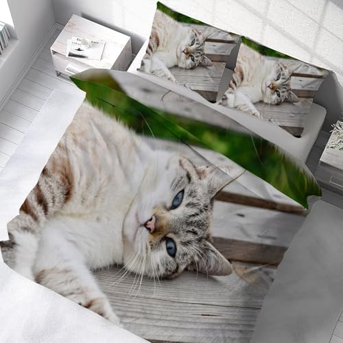 Housse de couette 240x260 chat avec 2 taies d'oreiller en microfibre douce