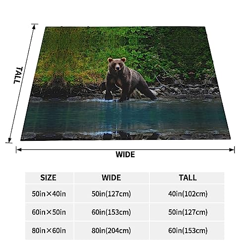Couverture ours marron en peluche réversible pour lit et canapé - 5