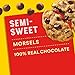 NESTLE TOLL HOUSE MORSELS SEMI SWEET CHOC