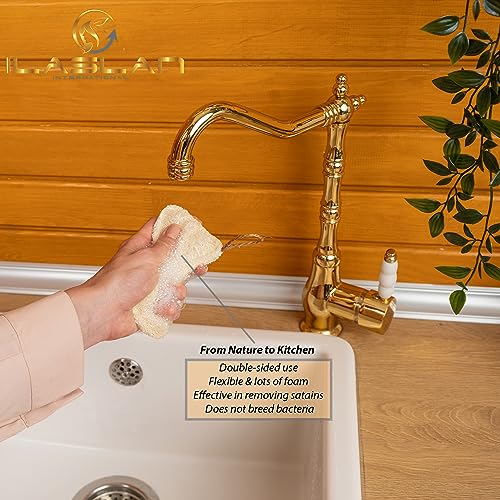 Image of Natural Loofah Dish Sponge Scrubber | Double-Sided | Eco-Friendly, Natural,%100 Organic, Biodegradable and Reusable Dish Loofah Kitchen Sponges | 3 Count (1 Pack) (12X8 CM)