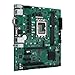 ASUS Pro H610M-CT D4-CSM LGA 1700(Intel 12th Gen&Intel vPro) TCO-Optimized Commercial Motherboard(PCIe 4.0,DDR4, DP/HDMI/D-Sub,USB 3.2 Gen 2,M.2 Key E Slot,TPM IC onboard,SMBUS,ACCE, Boot Defender)