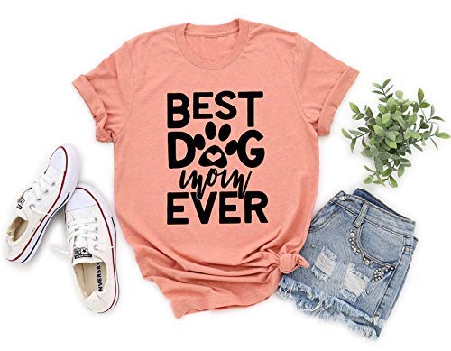 nature's variety limited ingredient cat food