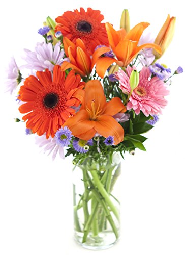 Afternoon Mimosas Bouquet of Orange Asiatic Lilies, Orange Gerbera Daisies, Pink Gerbera Daisies, Purple Daisy Poms, Purple Asters, and Lush Greens in a Glass Vase