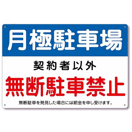 ԏ Ŕ ӊNv[g ӊŔ plŔ v[gŔ O pl A~pl A~Ŕ W ԏŔ h ɒԏ pԏ y A~ 30cm×20cm hplŔŔlN^C\tFX\