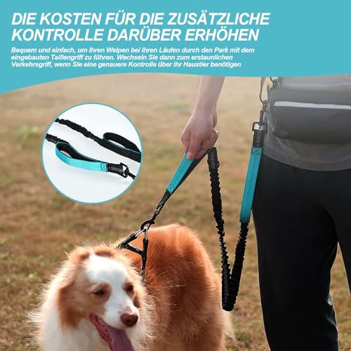 Joggingleine Hunde - Freihandleine Hund, Retrieverleine mit Zugstopp, Abnehmbare Hüfttasche und Sicherheitsgurt, mit Hundetrainings-Clicker, für alle Hunderassen, für Joggen und Radfahren(Schwarz)