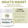 Wholistic Pet Organics Pure Powder Calcium for Dogs and Cats - Supports Strong Bones, Teeth & Muscles - Sea Coral Cat and Dog Calcium Supplement with 72 Trace Minerals - Pet Food Topper - 60 Scoops