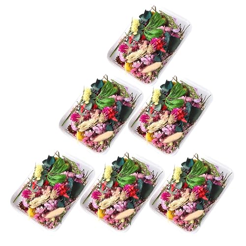 Flores secas prensadas reales para manualidades miniatura 1