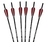 Killz Products Nightmare Xtreme Crossbow Bolts Carbon Half Moon Nocks 6Pcs 20 inch