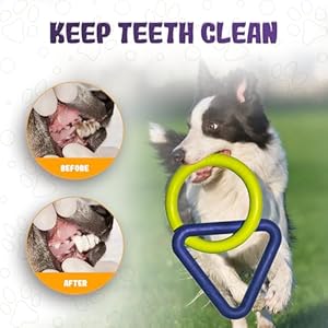 Interactive durable dog chew toys for aggressive small medium large breed chewers indestructible rubber scented chewing triangle ring pull dog toys for teething training or boredom   cucciolini doodles