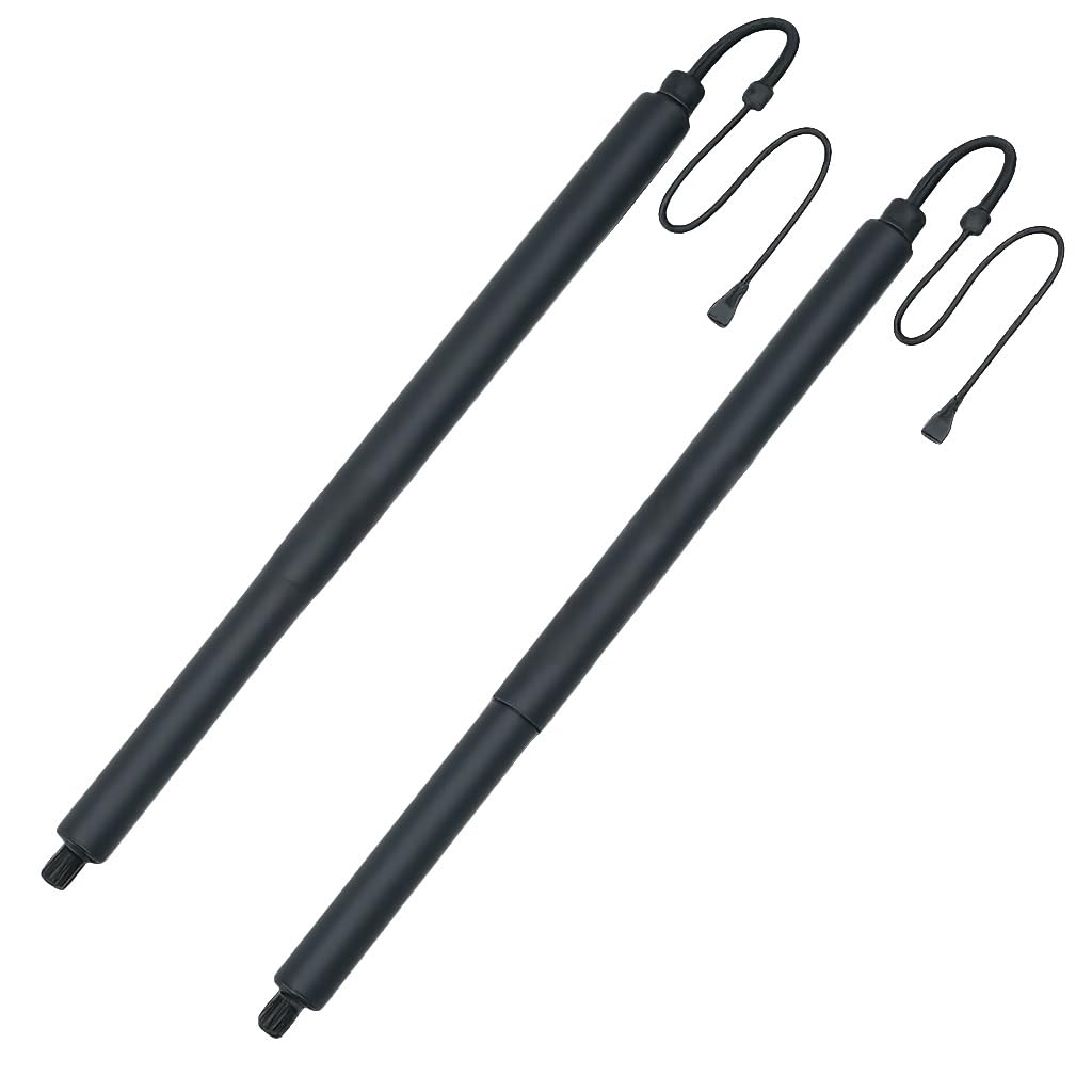 Tige de support hayon électrique à levage fluide 670109047 - 4