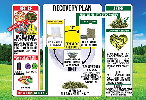 Sherwood-Pet-Health-Rabbit-Emergency-kit-and-Bulk-Recovery-Food-800-Grams Sherwood Pet Health Rabbit Emergency kit and Bulk Recovery Food (800 Grams)⦠- Image 5