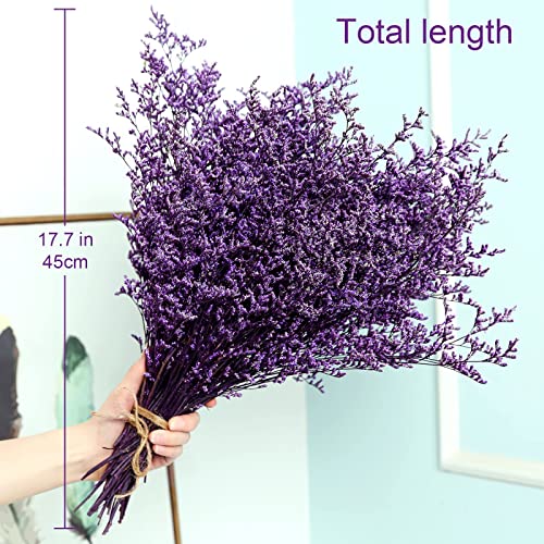 Preserved Natural Limonium Bouquet, 25+ Stems Real Fresh Caspia Bellidifolium, Sea Lavender, Baby Breath Flowers, For Wedding Birthday,Home Décor,Gift For Mother,Valentine’s Day,Rustic Holiday(Purple) #TOP3