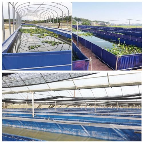Réservoir d'eau de 5x2m pour l'irrigation du jardin et bâche pliable d'aquaculture extérieure