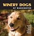 Winery Dogs of Washington