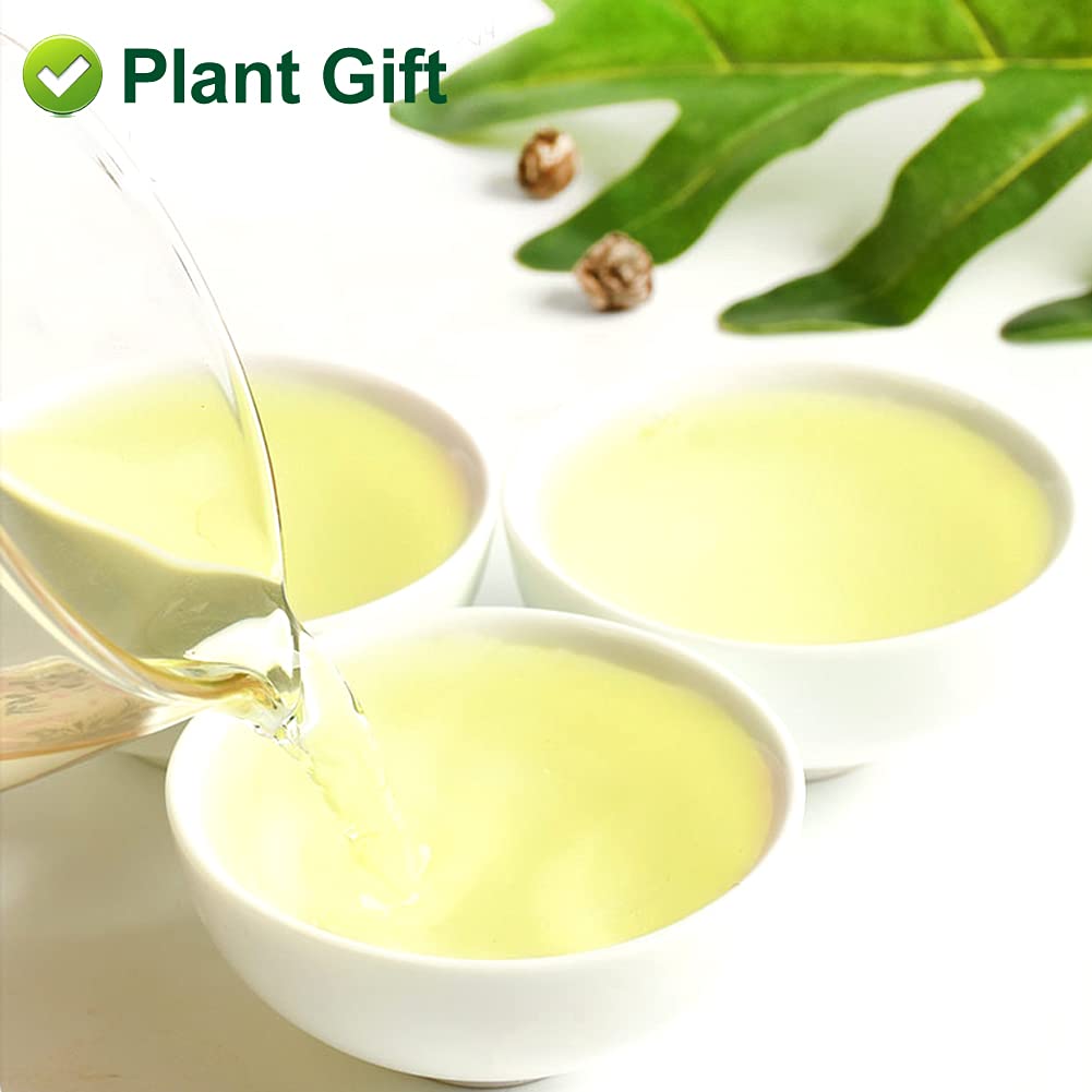 Plant Gift Jasmine Dragon Pearls 130G/4.58oz 龙珠茶 Té verde hoja suelta, perlas de jazmín té dragón bola, mejor té de jazmín, té oolong