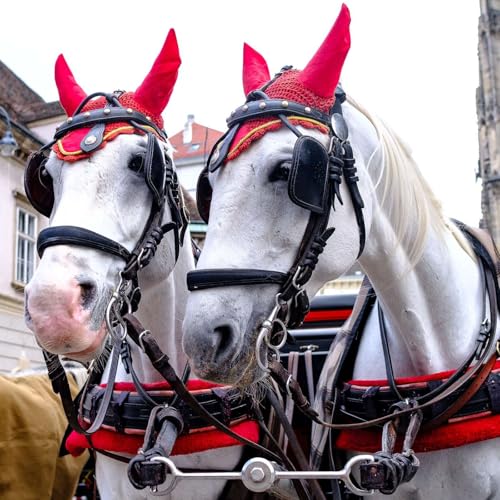 Riding the Stallion--Managing Conflict