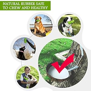 Natural Rubber Dog Toy for Large Medium Breed Aggressive Chewer Super Power Dog Chew Toys Squeaky Dog Birthday Toy Dog Toothbrush Interactive Tough Durable Dog Toys(Green,Large) Natural Rubber Dog Toy for Large Medium Breed Aggressive Chewer Super Power Dog Chew Toys Squeaky Dog Birthday Toy Dog Toothbrush Interactive Tough Durable Dog Toys(Green,Large)