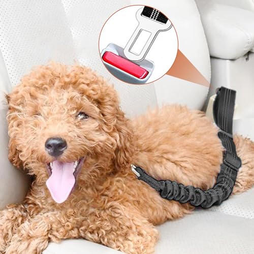 Anschnallgurt Hund Auto Verstellbar – Hundeanschnaller fürs Auto mit Elastischem Rückdämpfer, Nylon Sicherheitsgurt für Kleine und Mittelgroße Hunde, Passend für Alle Fahrzeugtypen, Schwarz
