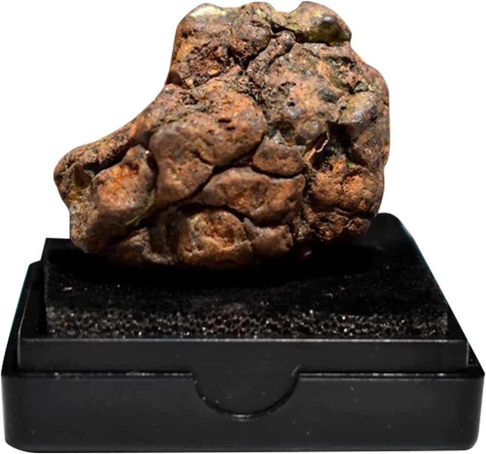 Meteorite Real Space Rock in Treasure Chest Box Display Case Science Ornament for