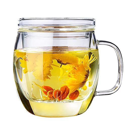 Comparison: Best Cups For Tea 6 Bunhut Glass Tea Cup with Infuser and Lid,500ml (17oz) Borosilicate Glass Tea Mugs for Loose Leaf Tea,Glass Tea Cups with Filter for Black Tea,Great Loose Tea-leaf Brewing System