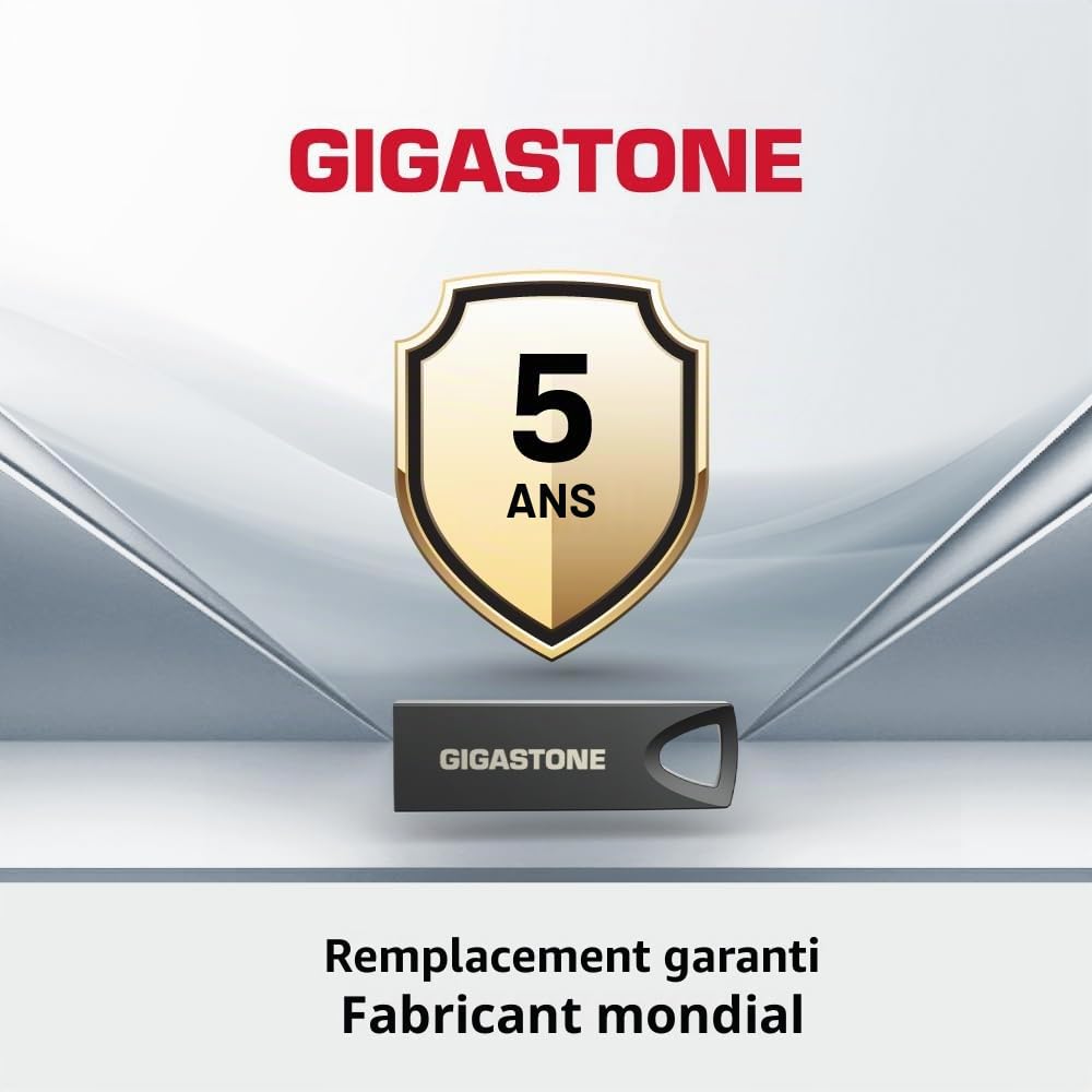 GIGASTONE 256Go Slim Fit Clé USB Flash, Z70 USB 3.2 Gen 1, 100Mo/s Ultra Rapide, Design Métal Nickel, Stockage et Sauvegarde pour PC/Mac/TV/Voiture, USB 2.0/3.0/3.1 Compatible