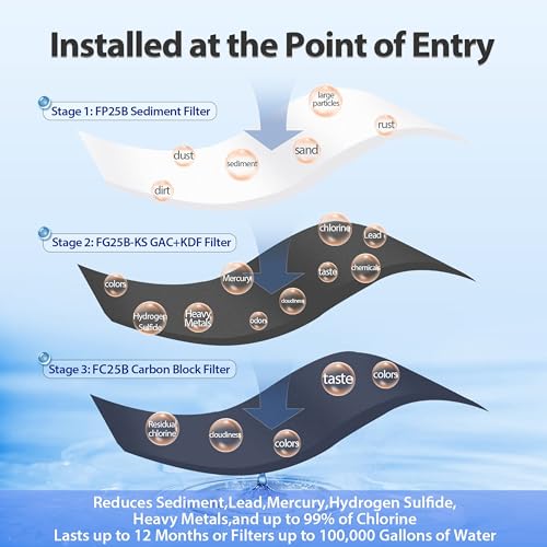 Whole House Water Filtration System