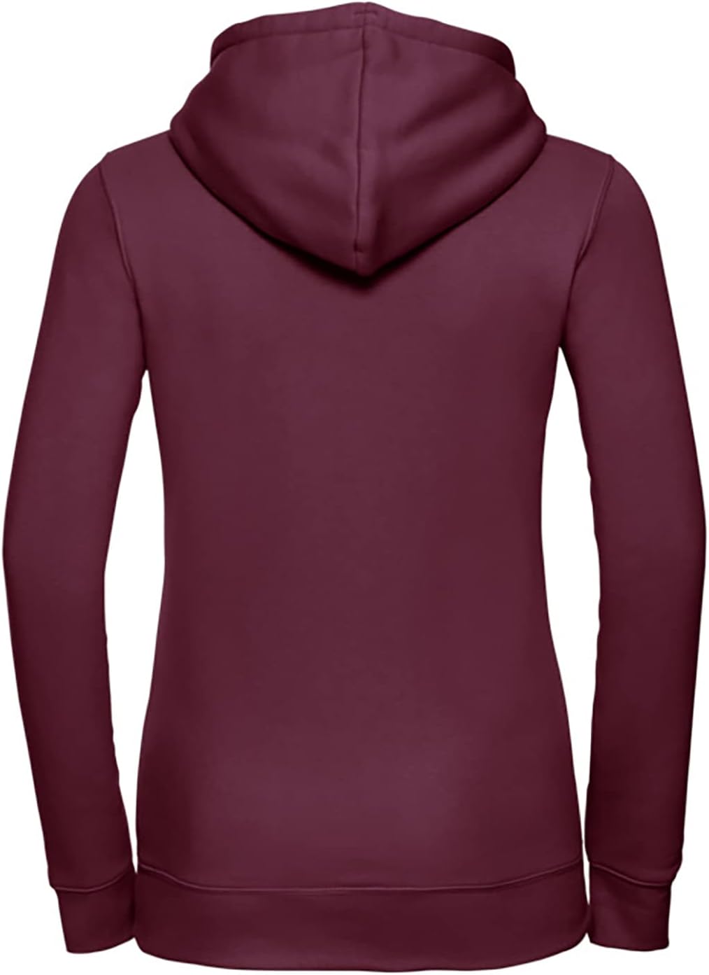 Russell Womens Premium Authentic Hoodie (3-Layer Fabric) (M) (Light Oxford) image 2