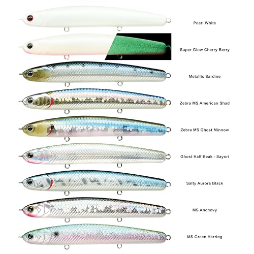 Leurre eau salée LUCKY CRAFT Wander Slim vent de face - 3