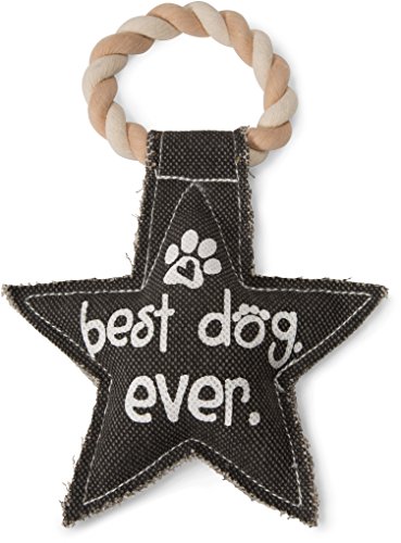 Pavilion Gift Company 45607 Pavilion's Pets-Gray Star Canvas And Rope Squeaky Toy-Best Dog Ever #TOP5