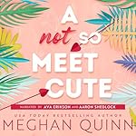 Cover of A Not So Meet Cute