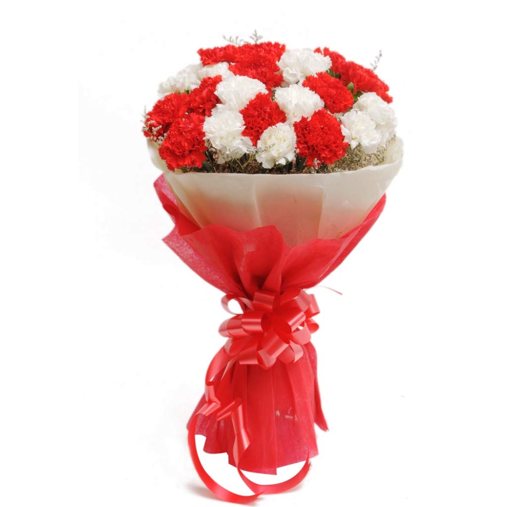 Special Bunch of 15 Red & White Carnations in Paper Packing || TFM-image-1