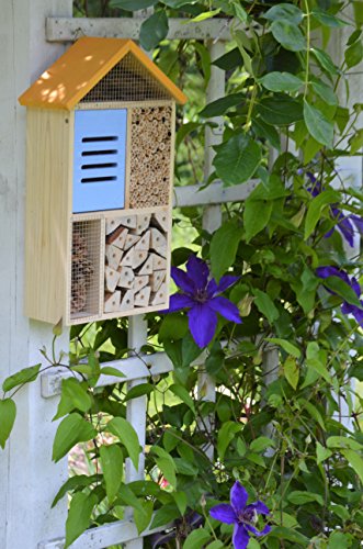 Nature's Way Bird Products 066465 Cwh8 Deluxe Insect House #TOP2