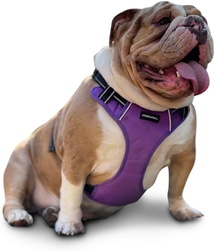 Heavy Duty Reflective Harness, No Choke, Adjustable