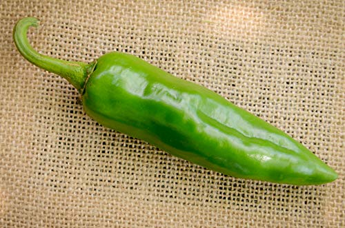 Numex Sandia New Mexico Hatch Chile Pepper Premium Seed Packet