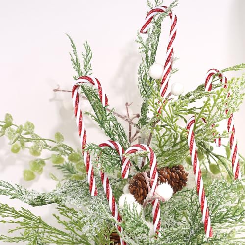 DAHI 32pcs Zuckerstangen für den Weihnachtsbaum Zuckerstangen zum hängen Weihnachten Anhänger
