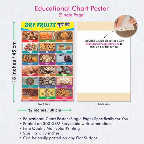 Image of ESCAPER Dry Fruits Educational Charts for Kids, Charts for Kids Learning (11.5 x 17.5 inches), Kids Study Material, Kids Learning Books, Educational Posters