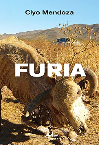 Furia (Spanish Edition)