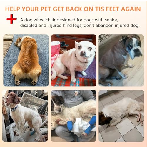 Cadeira de rodas atualizada para cães para pernas traseiras, carrinhos de cadeira de rodas para cães