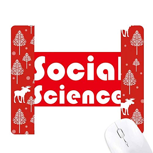 Livre de sciences sociales : la souris de Noël dans les bois et la forêt