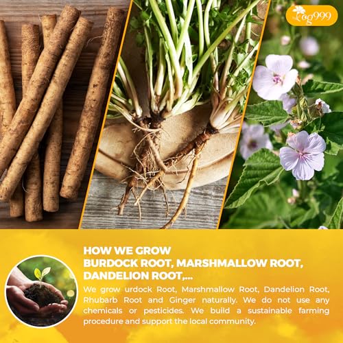Image of TOG Premium 16 oz Essiac Tea - Rene's and Ojibwe - Original 4-Herb Formula Since 1922, 100% Natural & Pure, Caffeine-Free, No Additives or Preservatives, Non-GMO, Plant-Based & Vegan