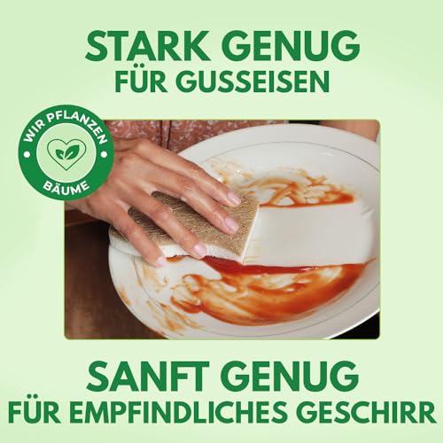 AIRNEX 12er Set Natürliche Spülschwämme – Aus Zellulose, Kokos und Recyclingfasern – Umweltfreundlich, Geruchsfrei, Kratzfreier Naturschwamm – Für Küche & Bad – Green America & PETA Zertifiziert